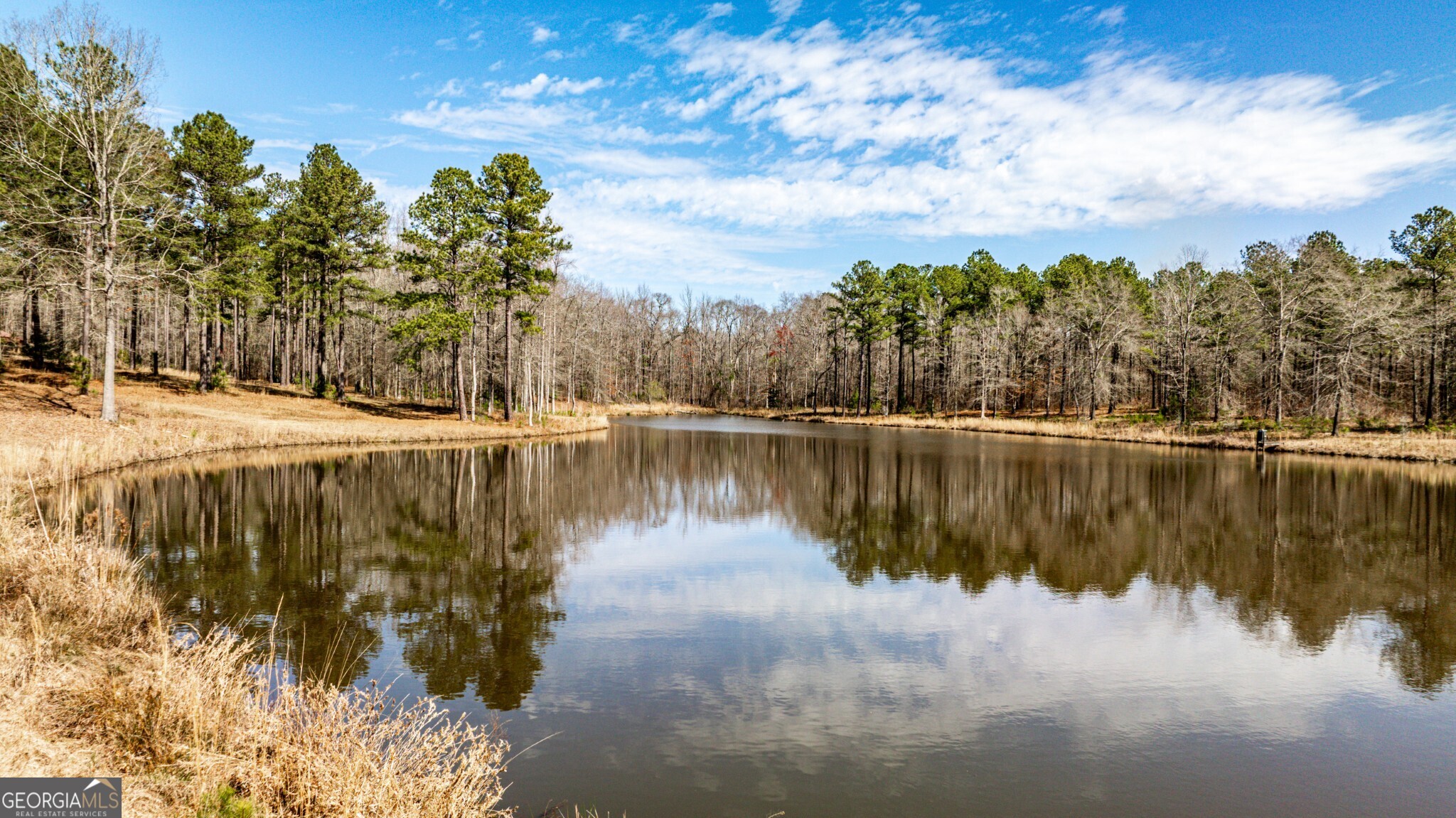 1757 Alabama Road Meansville, GA 30256 - Photo 6 of 91