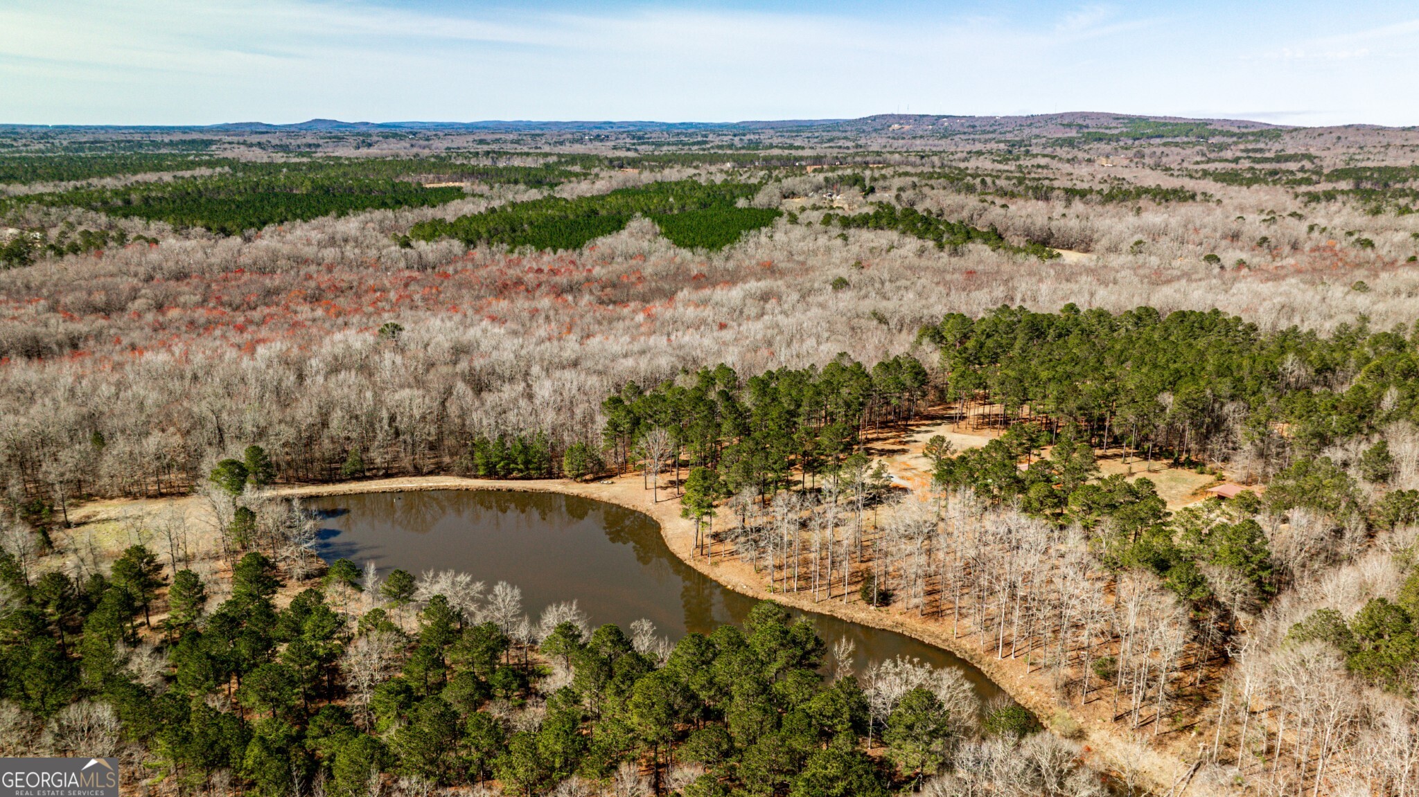 1757 Alabama Road Meansville, GA 30256 - Photo 65 of 91