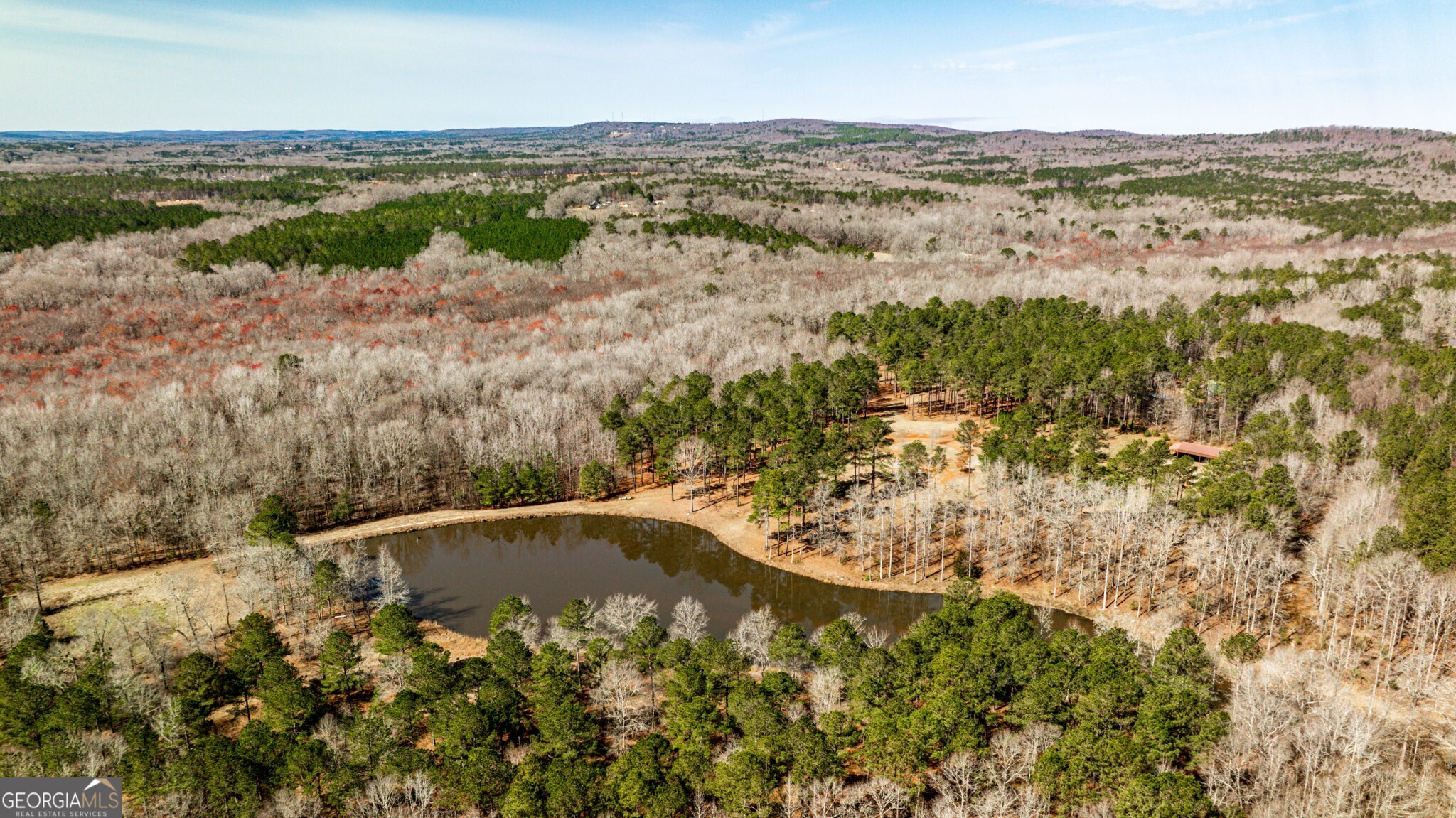 1757 Alabama Road Meansville, GA 30256 - Photo 66 of 91