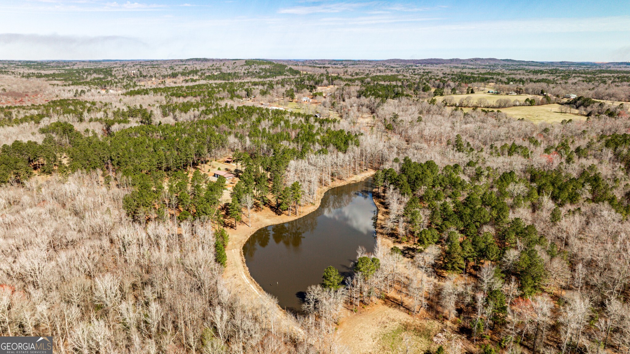 1757 Alabama Road Meansville, GA 30256 - Photo 67 of 91