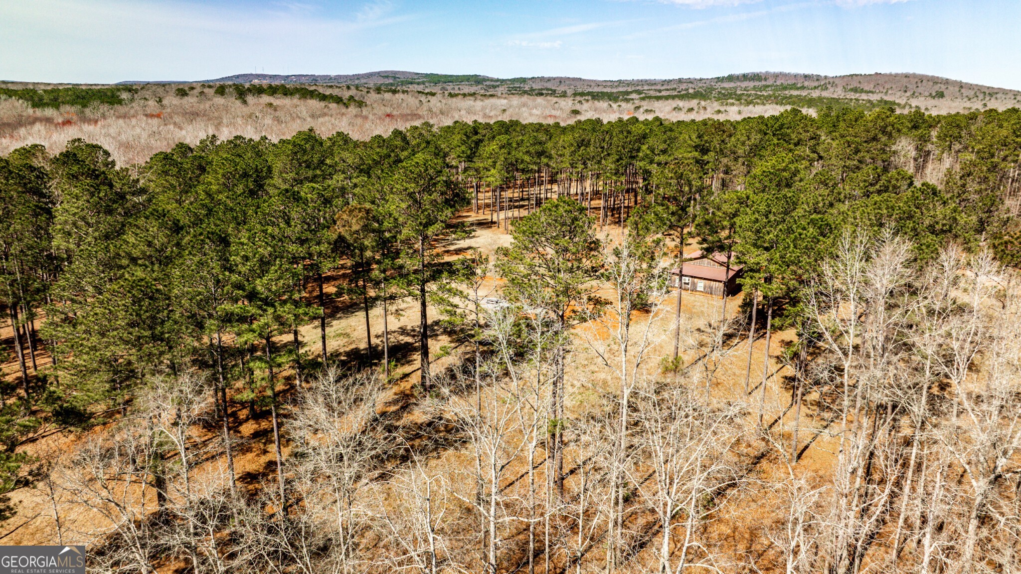 1757 Alabama Road Meansville, GA 30256 - Photo 68 of 91