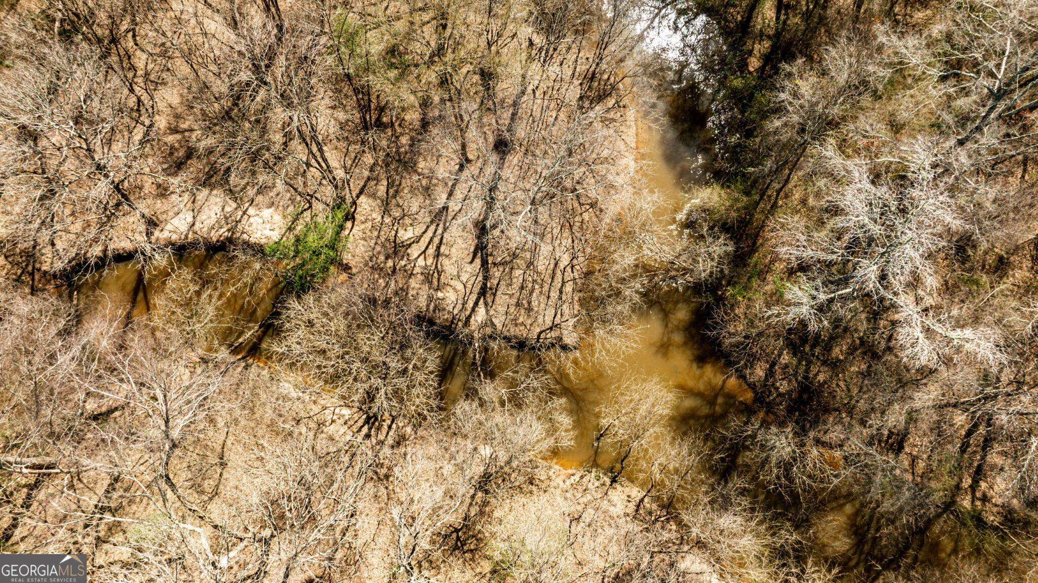 1757 Alabama Road Meansville, GA 30256 - Photo 7 of 91