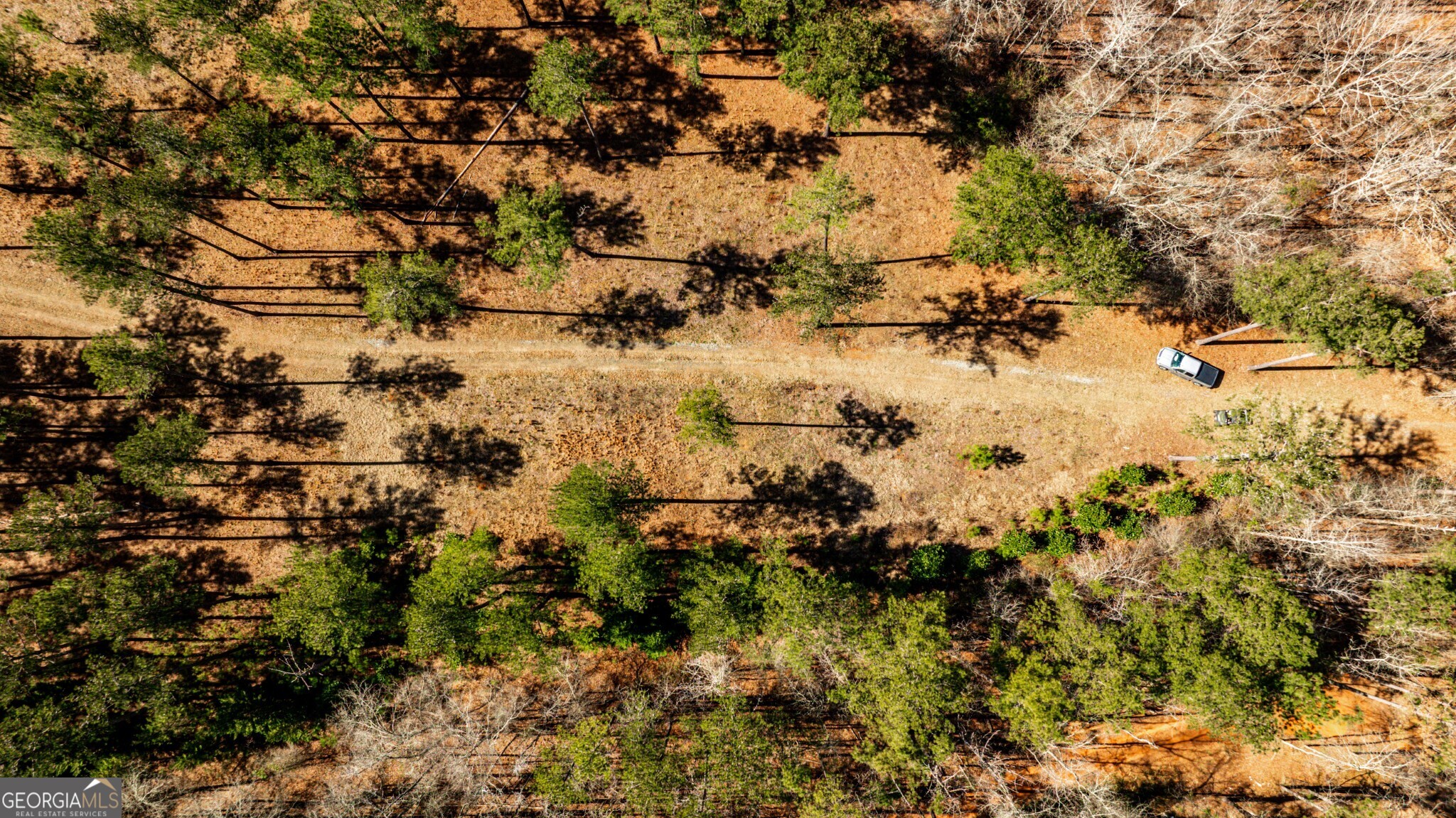 1757 Alabama Road Meansville, GA 30256 - Photo 73 of 91