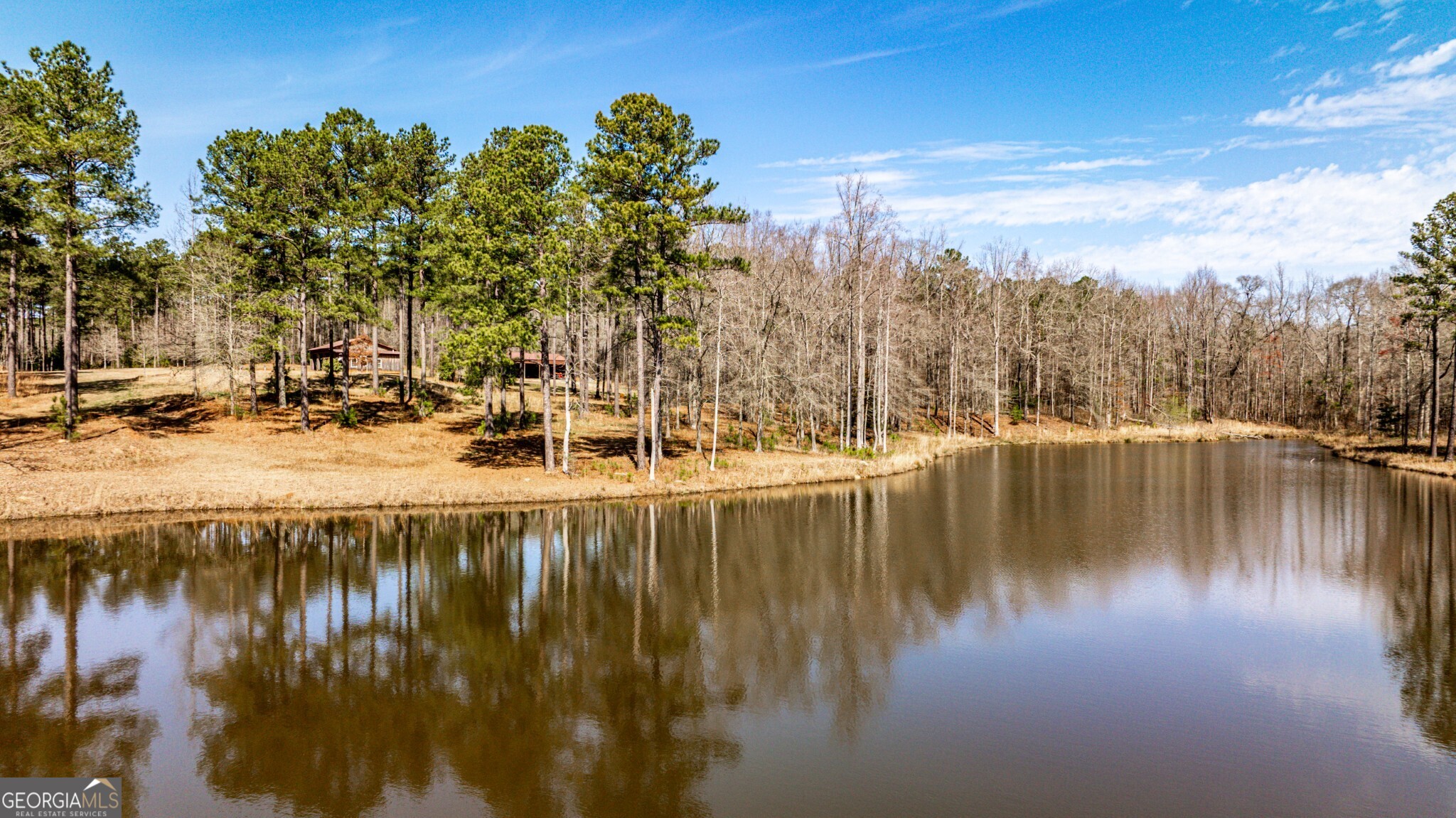 1757 Alabama Road Meansville, GA 30256 - Photo 74 of 91