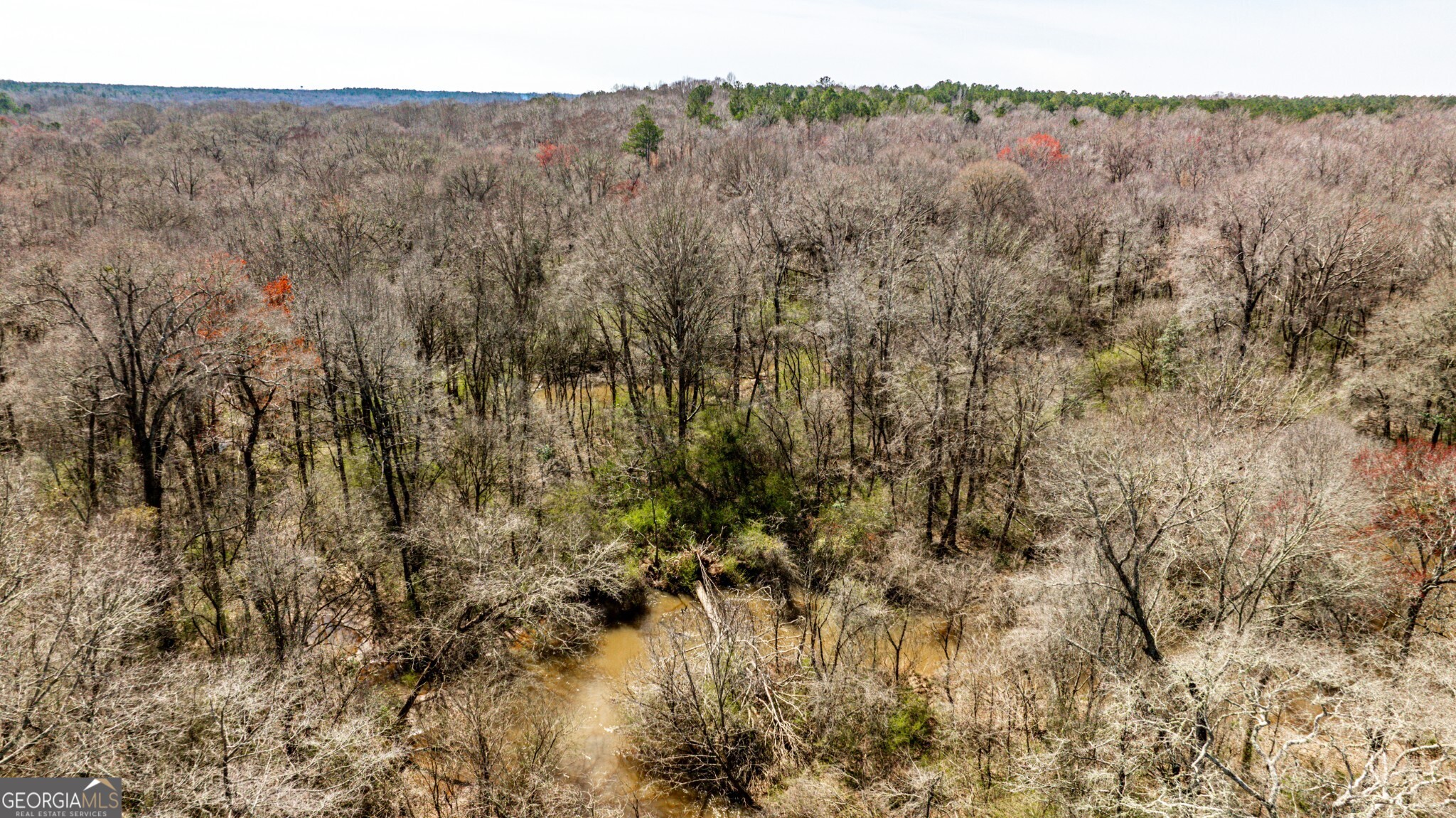 1757 Alabama Road Meansville, GA 30256 - Photo 77 of 91