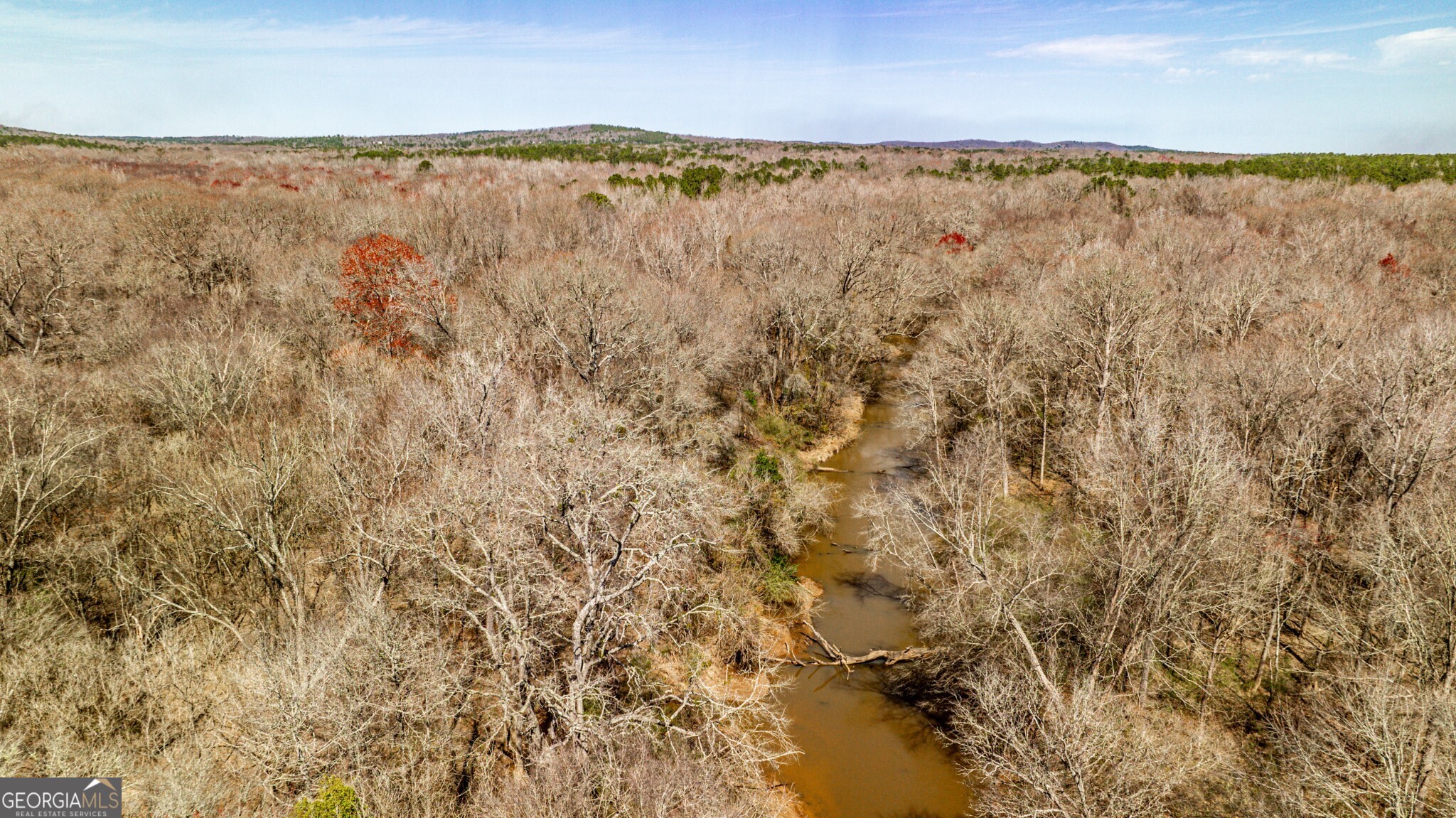 1757 Alabama Road Meansville, GA 30256 - Photo 78 of 91