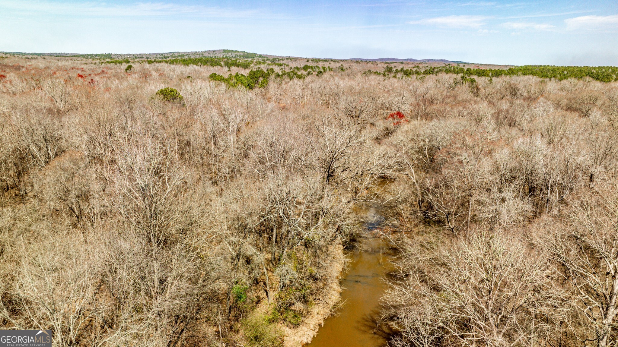 1757 Alabama Road Meansville, GA 30256 - Photo 79 of 91