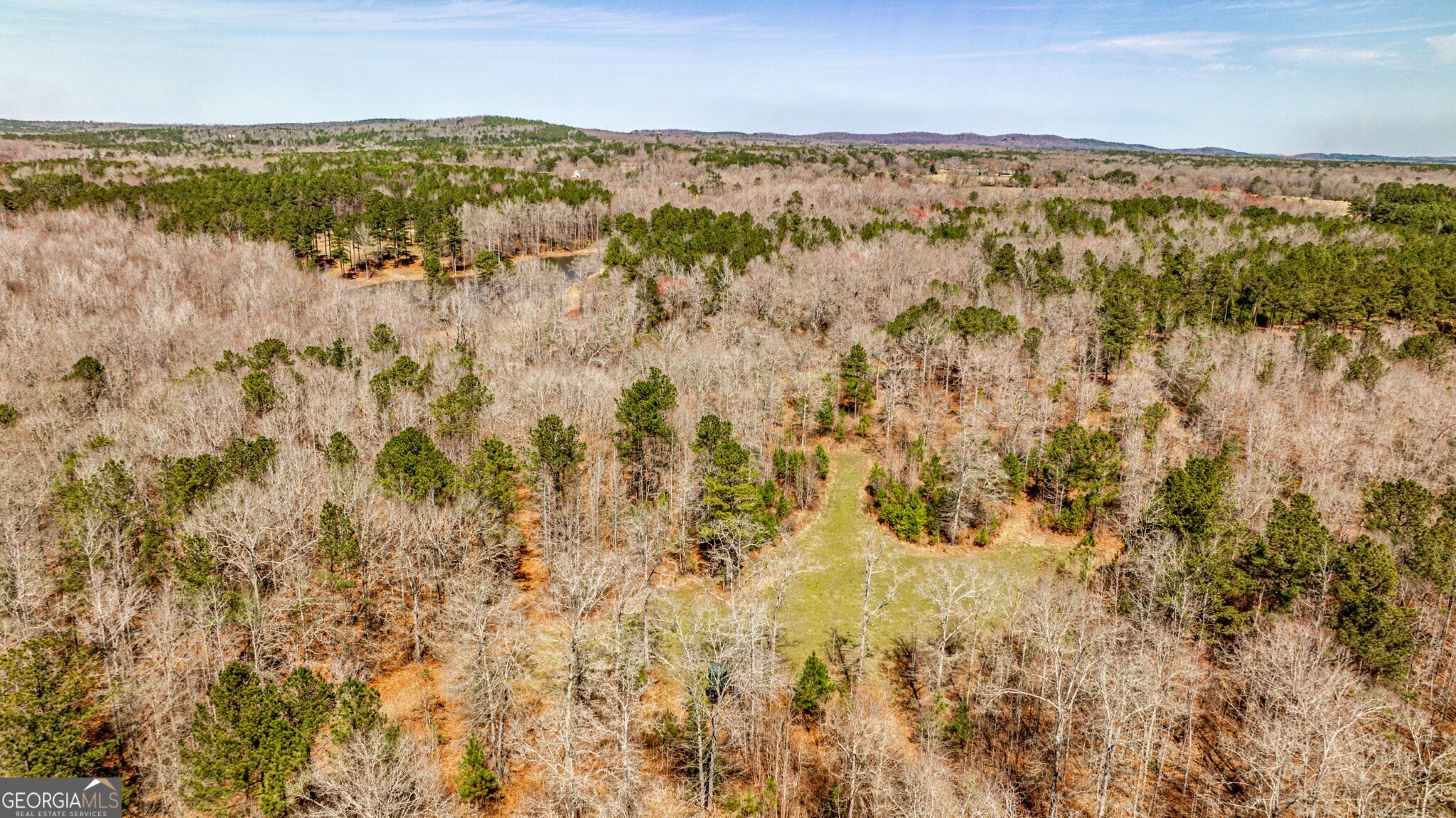 1757 Alabama Road Meansville, GA 30256 - Photo 80 of 91