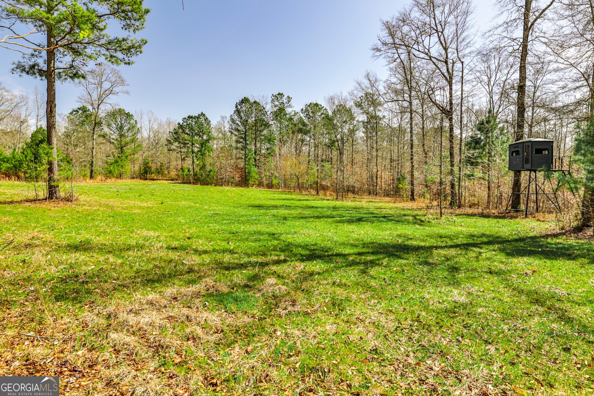 1757 Alabama Road Meansville, GA 30256 - Photo 8 of 91