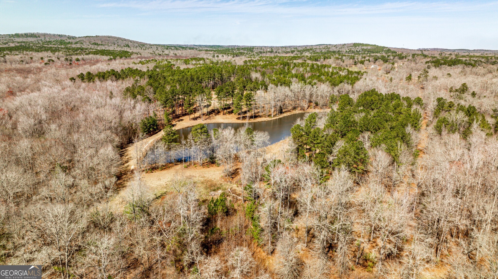 1757 Alabama Road Meansville, GA 30256 - Photo 81 of 91