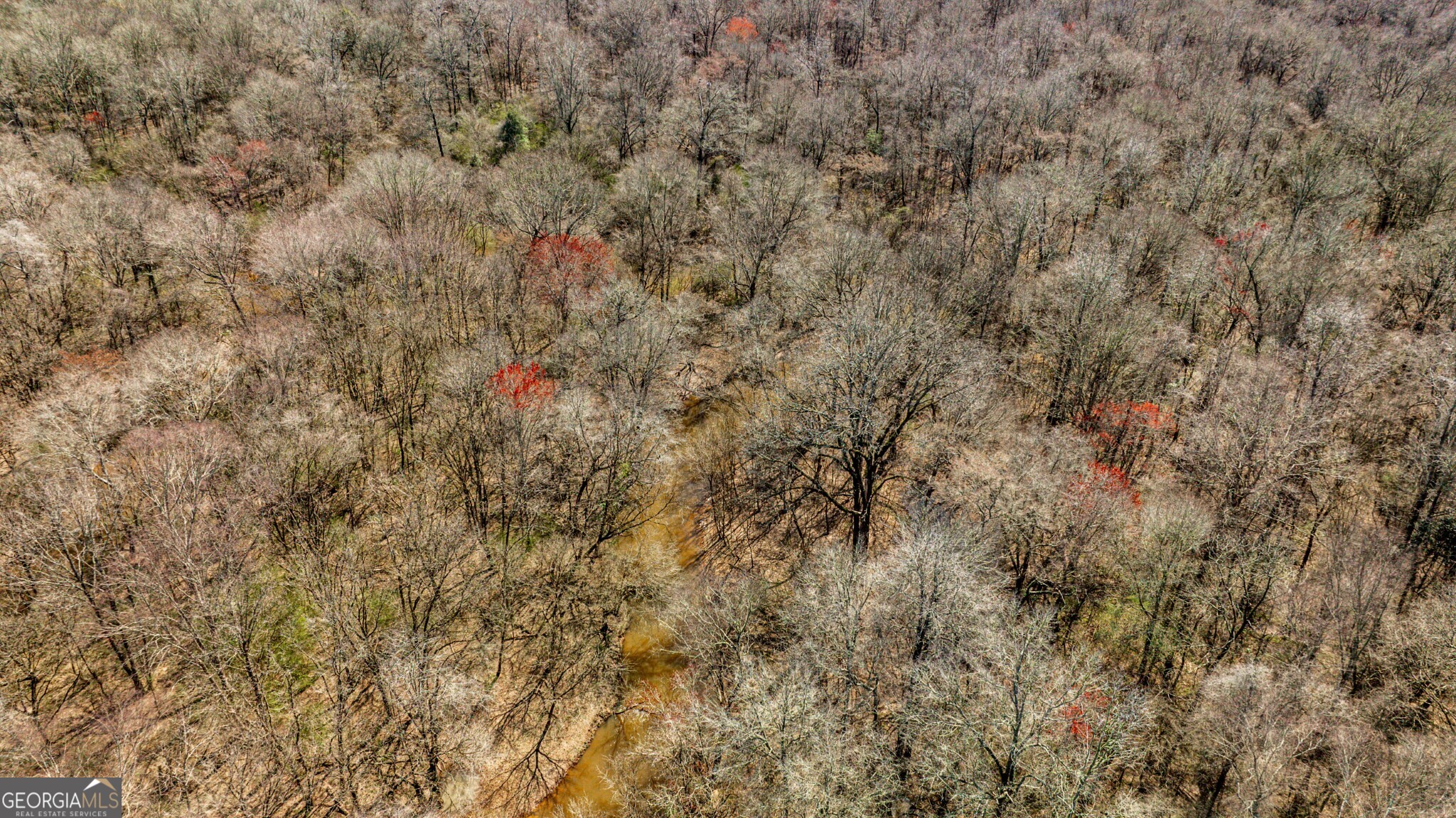 1757 Alabama Road Meansville, GA 30256 - Photo 82 of 91