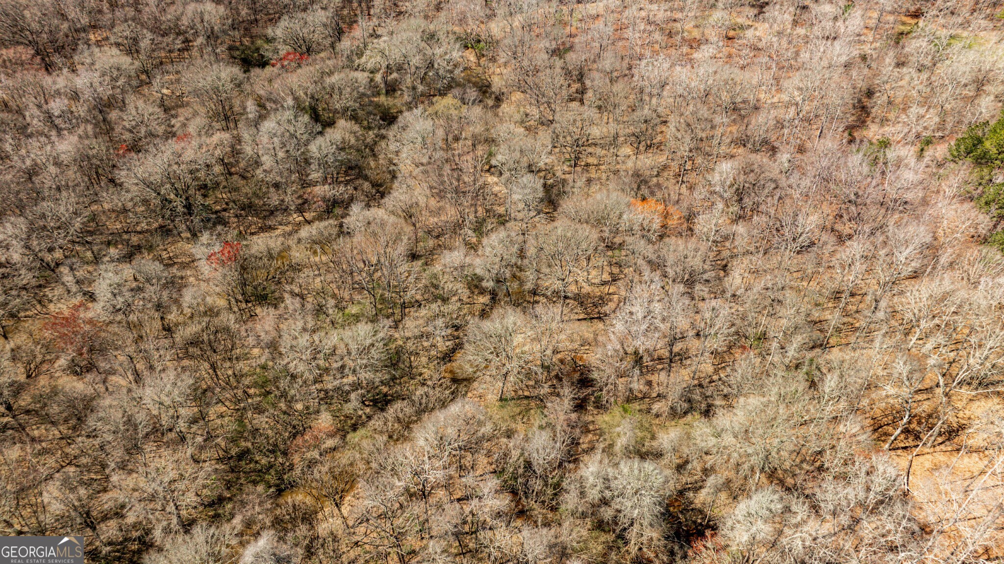 1757 Alabama Road Meansville, GA 30256 - Photo 85 of 91