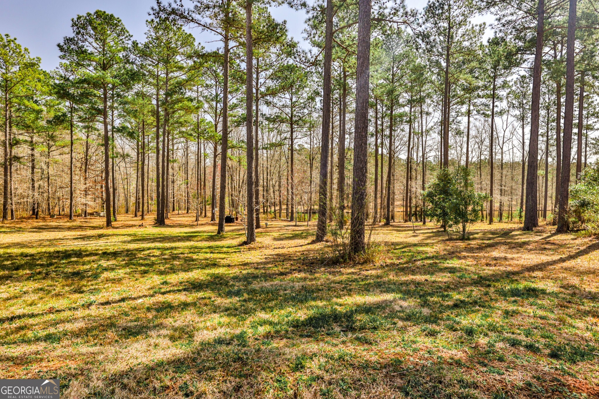 1757 Alabama Road Meansville, GA 30256 - Photo 87 of 91