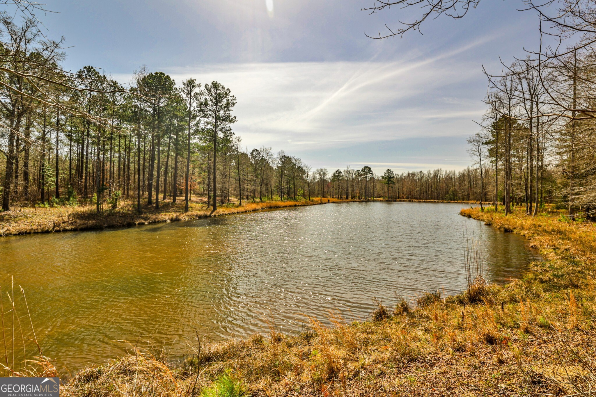 1757 Alabama Road Meansville, GA 30256 - Photo 88 of 91