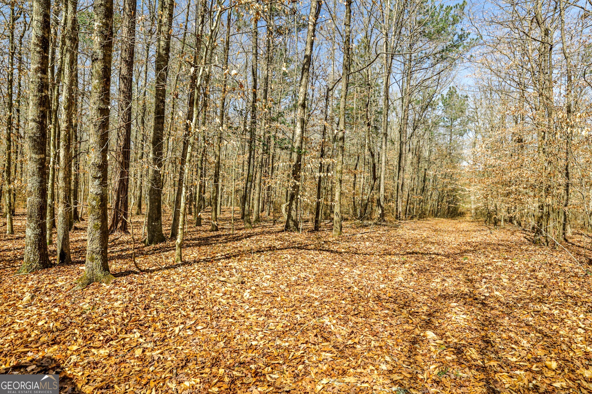 1757 Alabama Road Meansville, GA 30256 - Photo 89 of 91