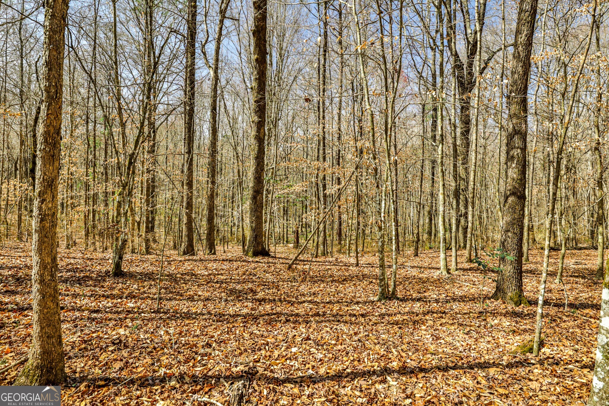 1757 Alabama Road Meansville, GA 30256 - Photo 90 of 91