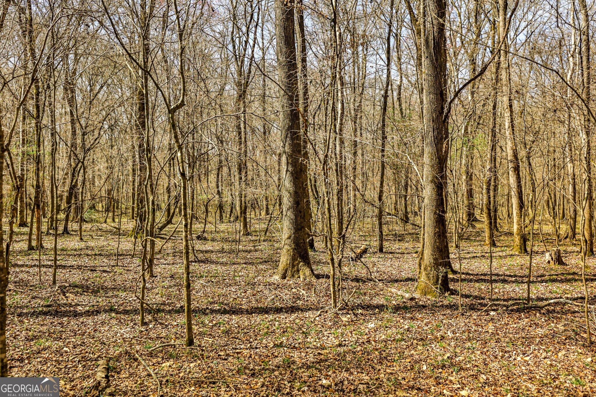 1757 Alabama Road Meansville, GA 30256 - Photo 9 of 91