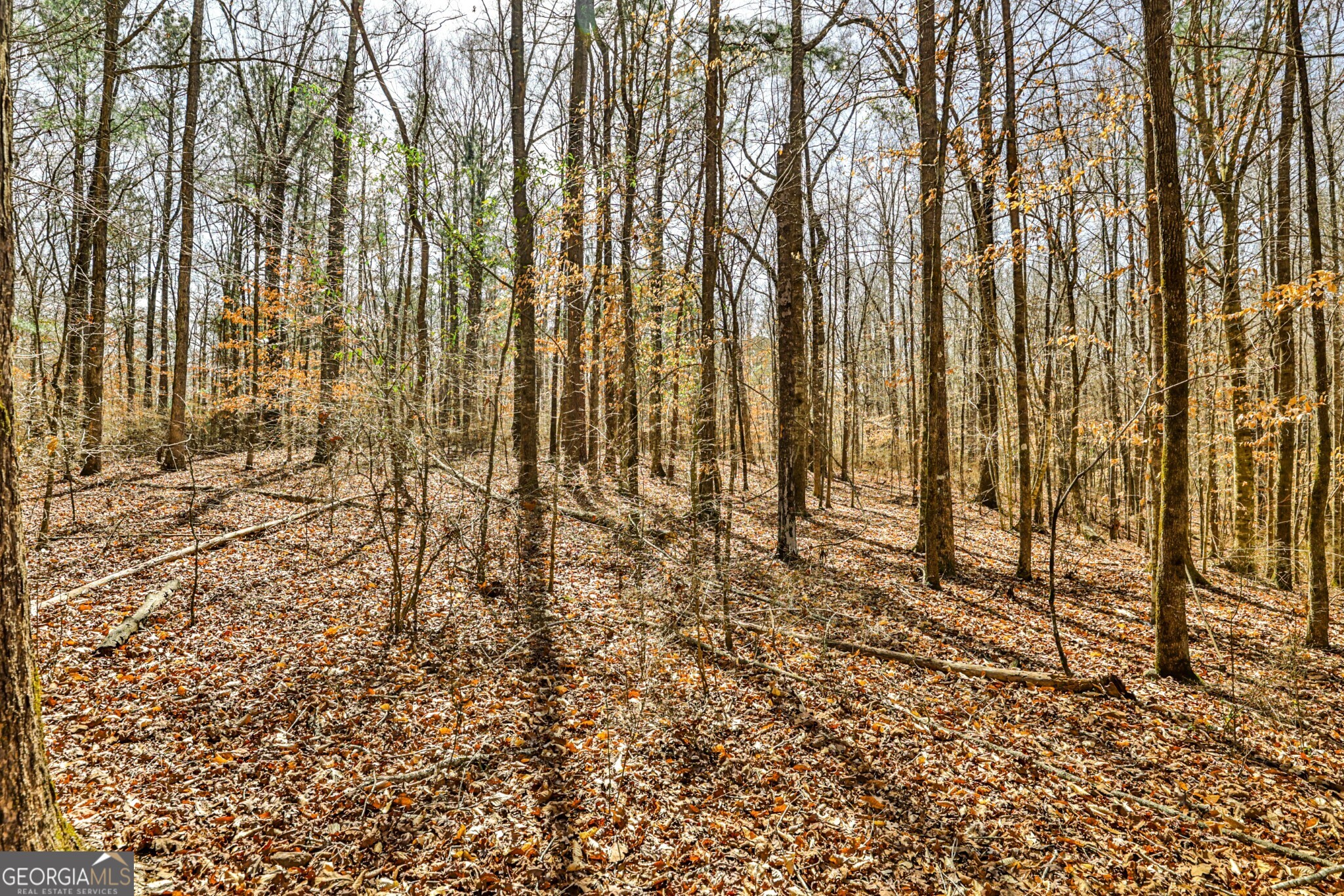 1757 Alabama Road Meansville, GA 30256 - Photo 91 of 91