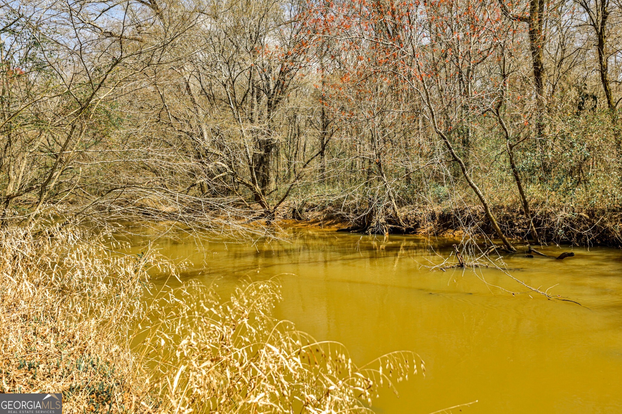 1757 Alabama Road Meansville, GA 30256 - Photo 10 of 91