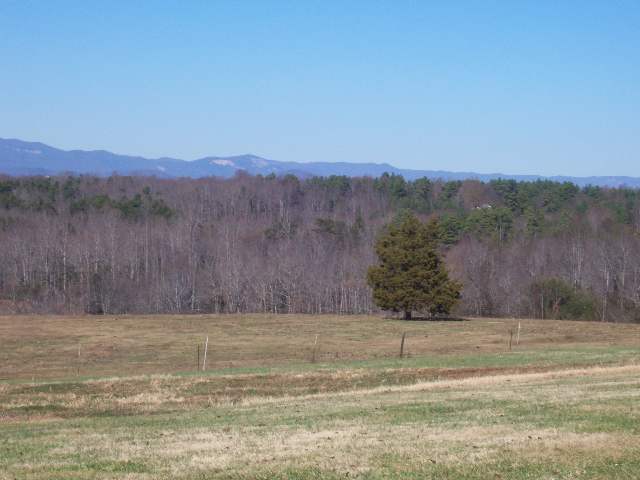 21 Riggins Bridge Road Liberty, SC 29657 - Photo 5 of 12