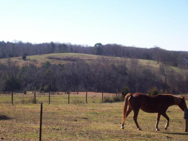 21 Riggins Bridge Road Liberty, SC 29657 - Photo 7 of 12
