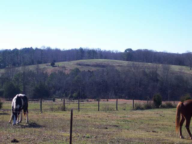 21 Riggins Bridge Road Liberty, SC 29657 - Photo 8 of 12