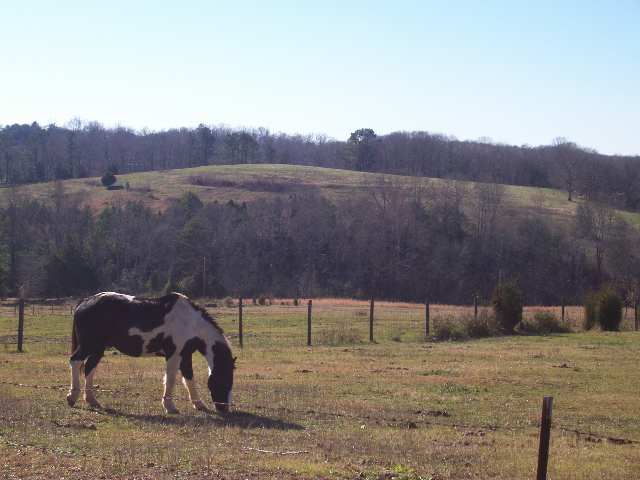 21 Riggins Bridge Road Liberty, SC 29657 - Photo 9 of 12