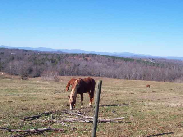 21 Riggins Bridge Road Liberty, SC 29657 - Photo 10 of 12