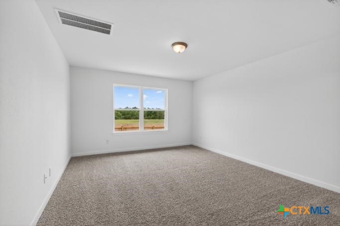 2024 Filmore Cove Temple, TX 76504 - Photo 19 of 29