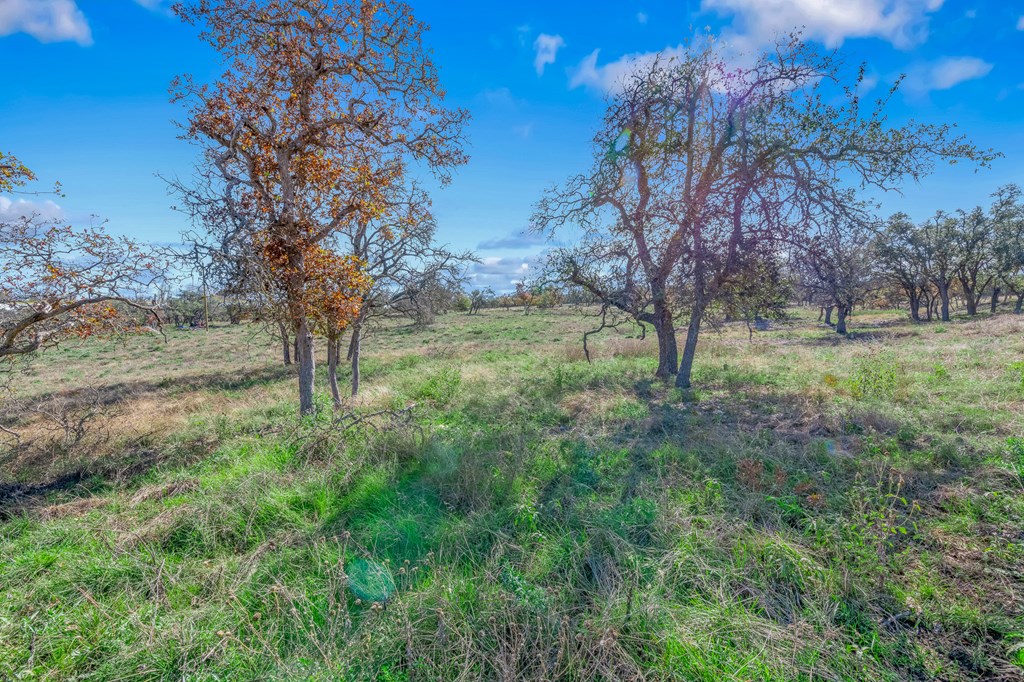 47 Nott Branch Road, Unit 47 Harper, TX 78631 - Photo 11 of 18 Gallery Image 11