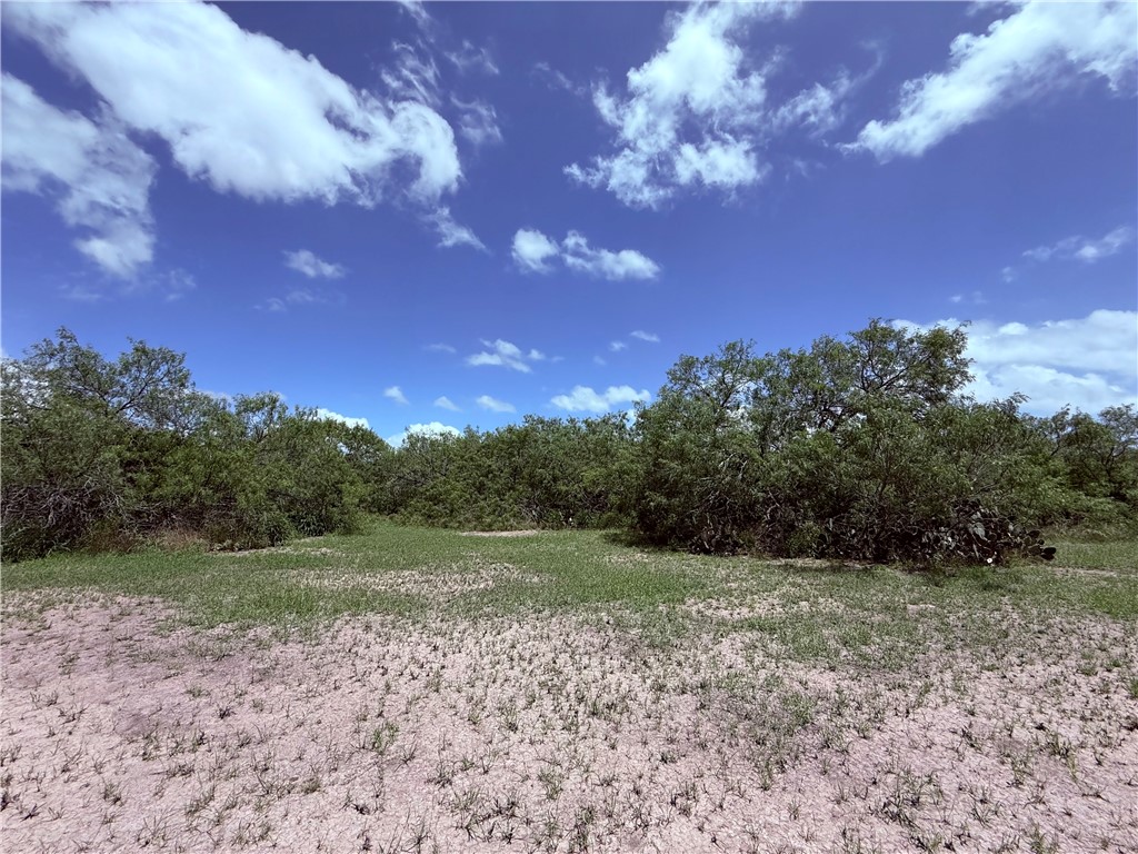 5742 Hidden Valley Loop Sandia, TX 78383 - Photo 25 of 27 a view of a yard with a tree