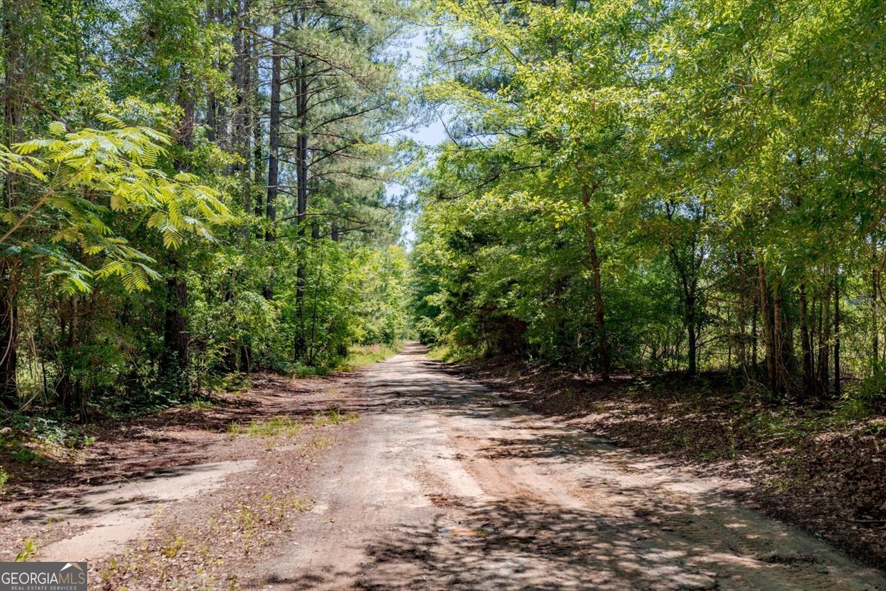 283 Limestone Road Cochran, GA 31014 - Photo 5 of 72