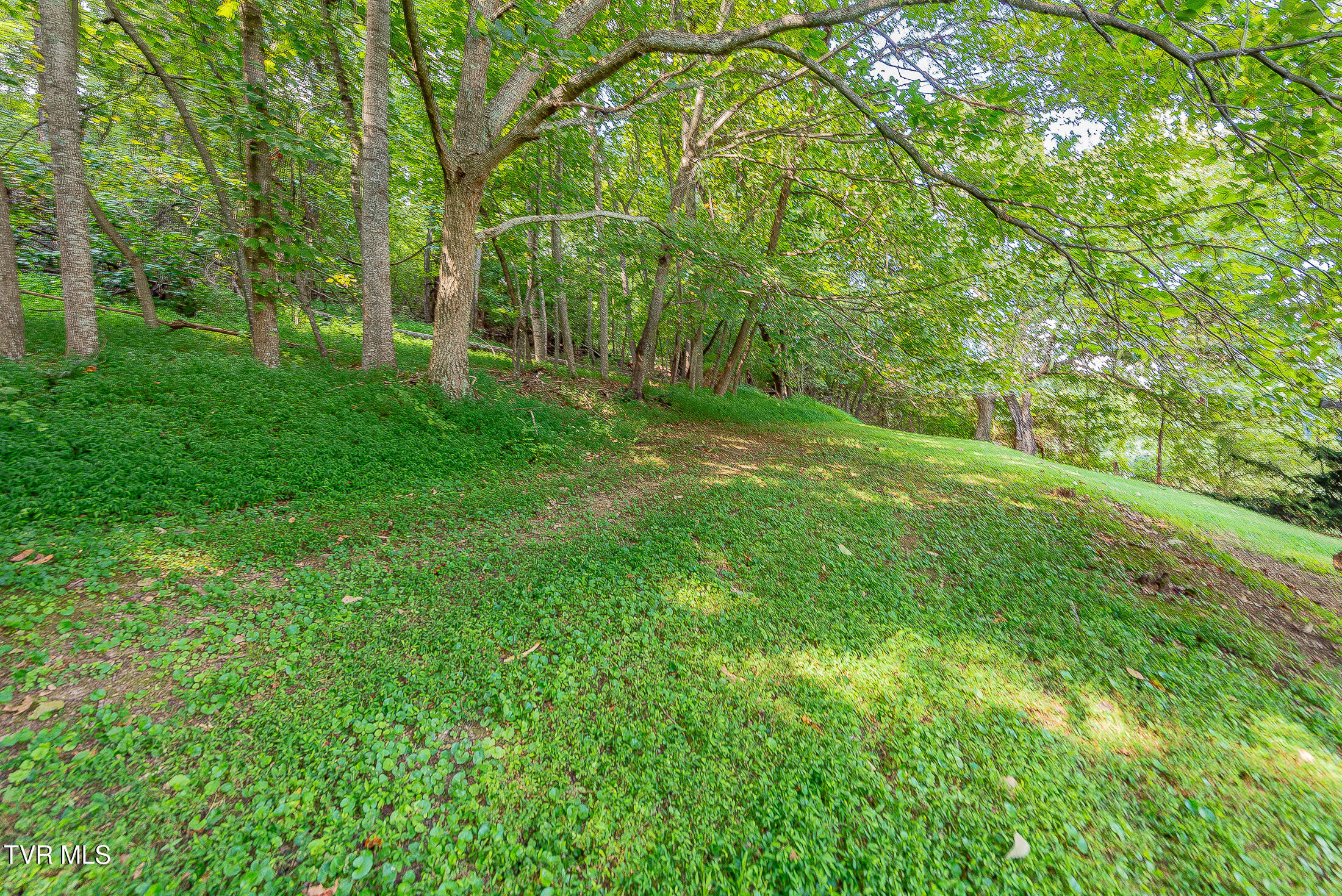 735 Emory Church Road Kingsport, TN 37664 - Photo 34 of 43 acreage