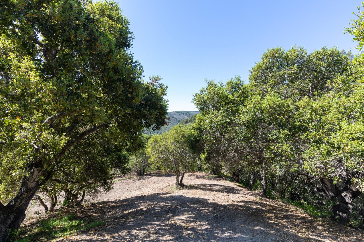 28007 Mercurio Road Carmel, CA 93923 - Photo 13 of 21 a view of outdoor space with trees