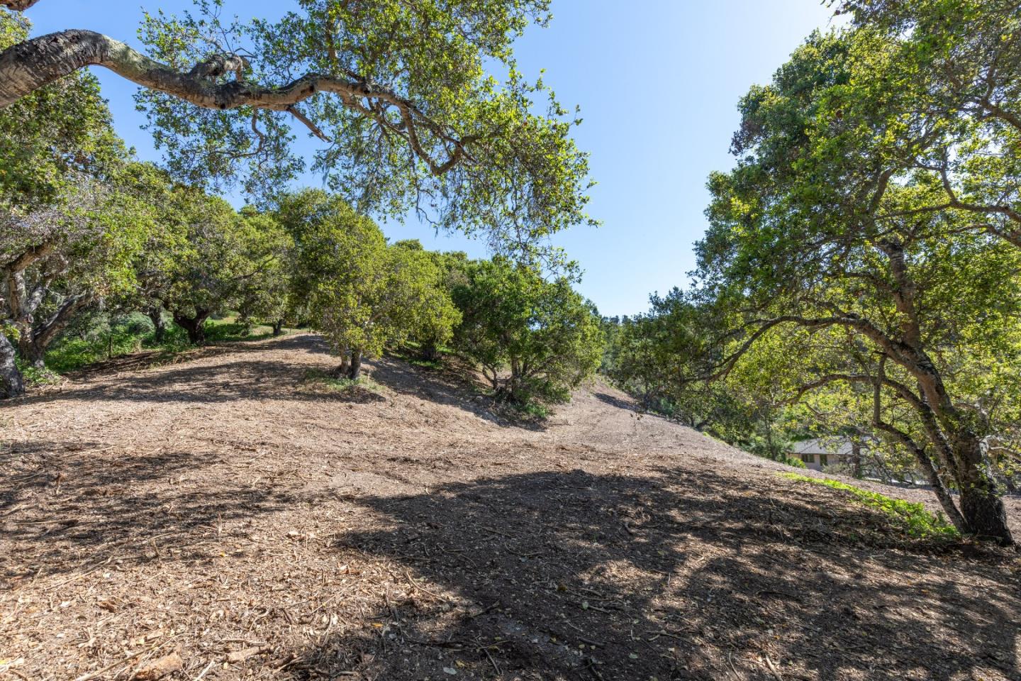 28007 Mercurio Road Carmel, CA 93923 - Photo 15 of 21 a view of outdoor space and yard