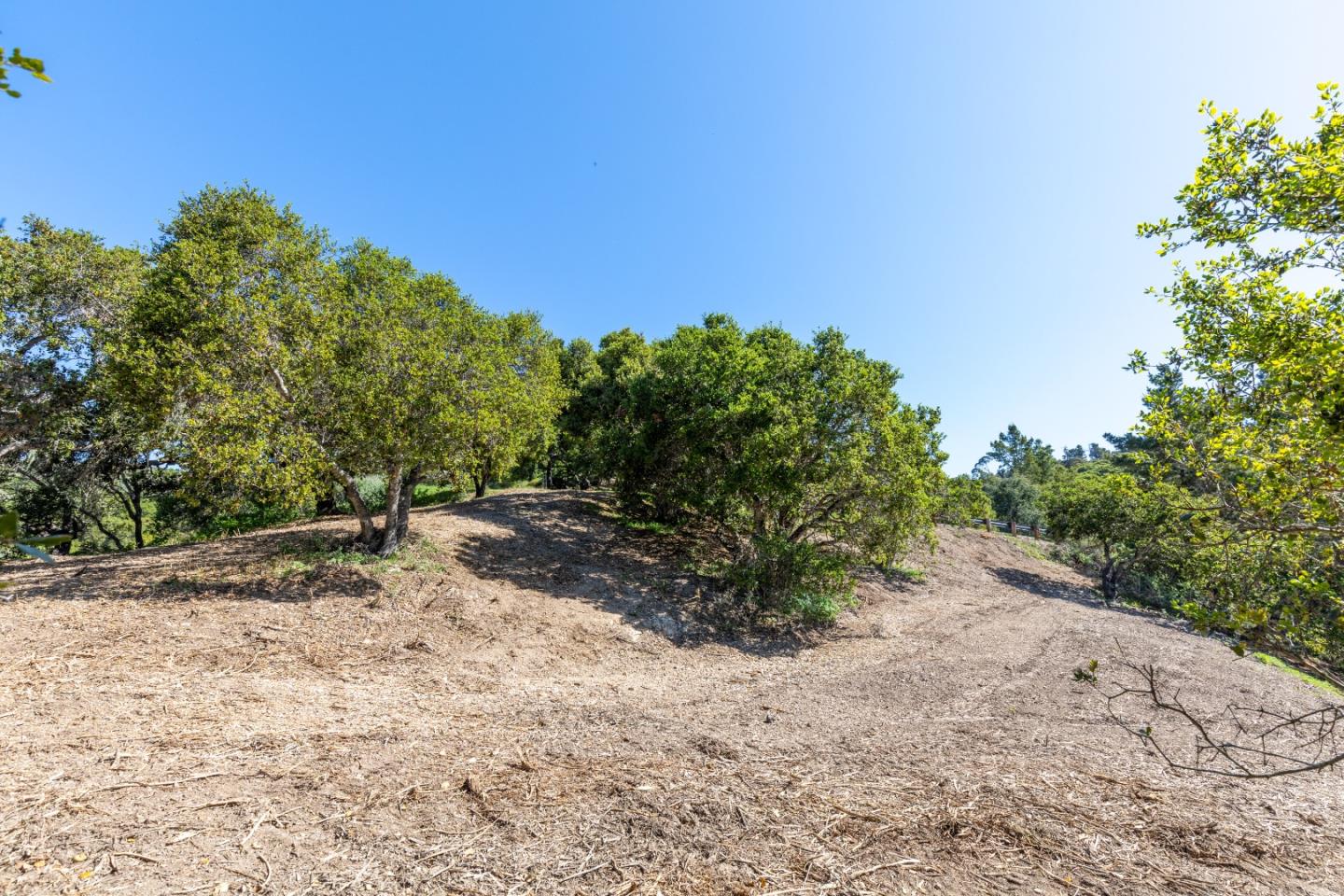 28007 Mercurio Road Carmel, CA 93923 - Photo 16 of 21 a view of a dirt road with trees in the background