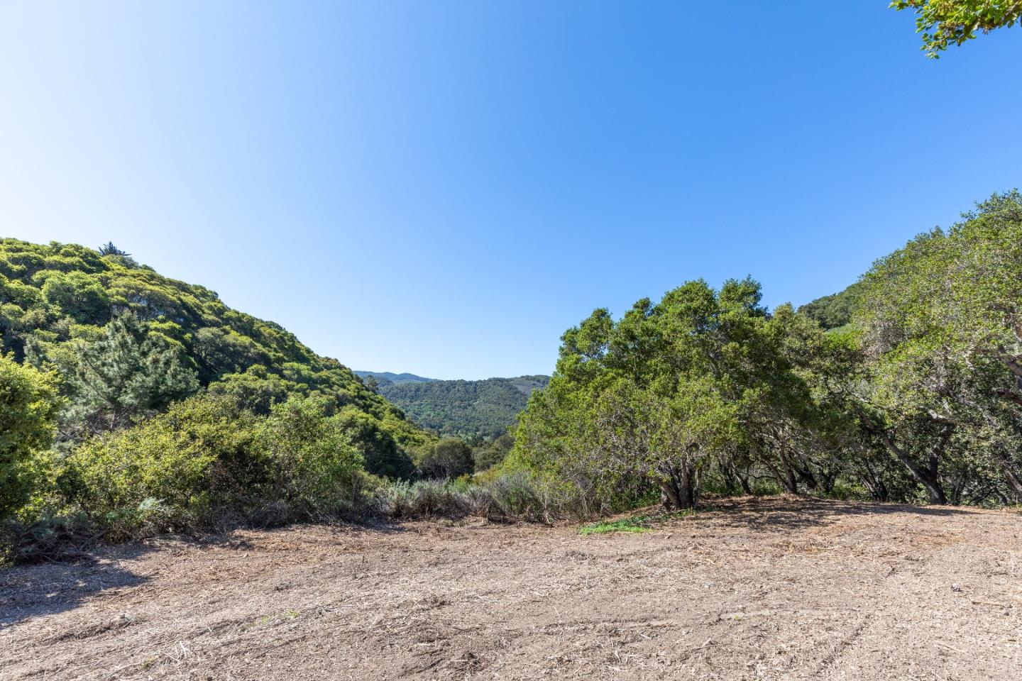 28007 Mercurio Road Carmel, CA 93923 - Photo 19 of 21 a view of a dry yard with trees