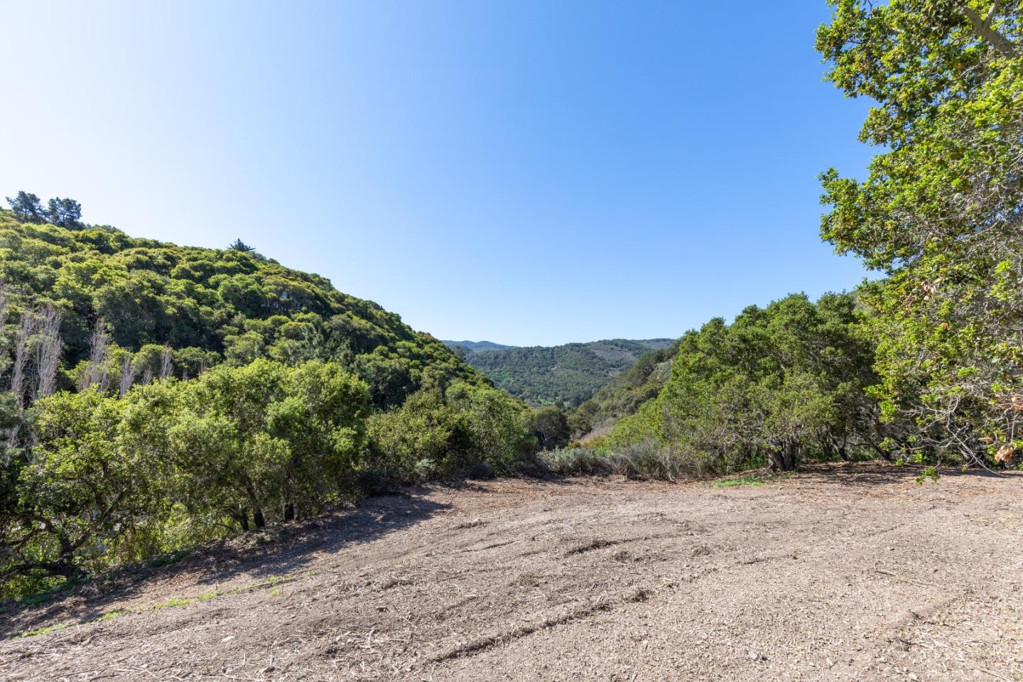 28007 Mercurio Road Carmel, CA 93923 - Photo 20 of 21 a view of a dry yard with trees in the background