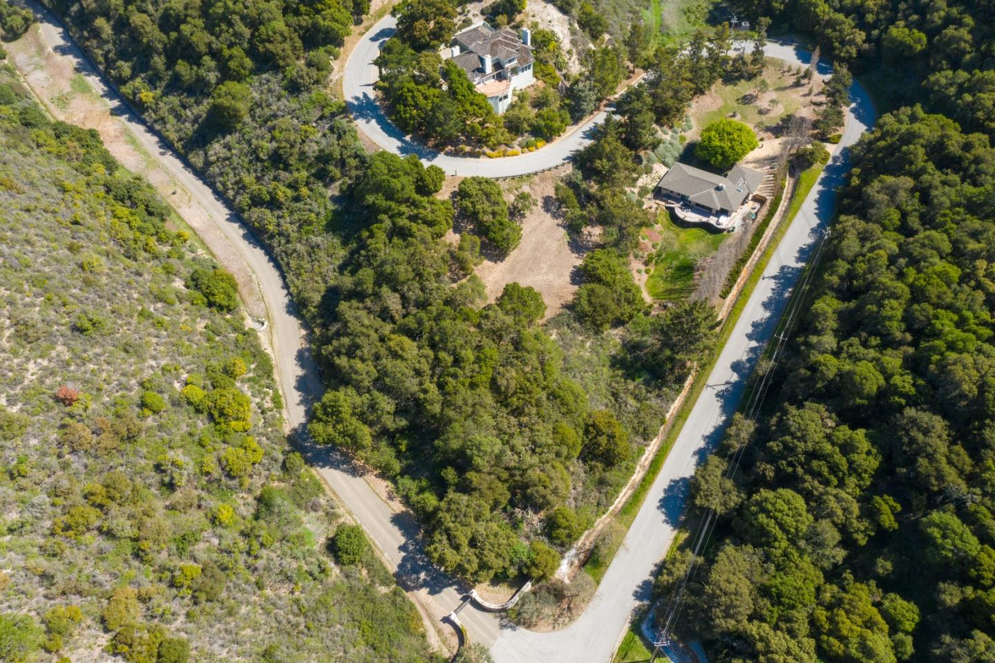 28007 Mercurio Road Carmel, CA 93923 - Photo 3 of 21 a close up of a plant