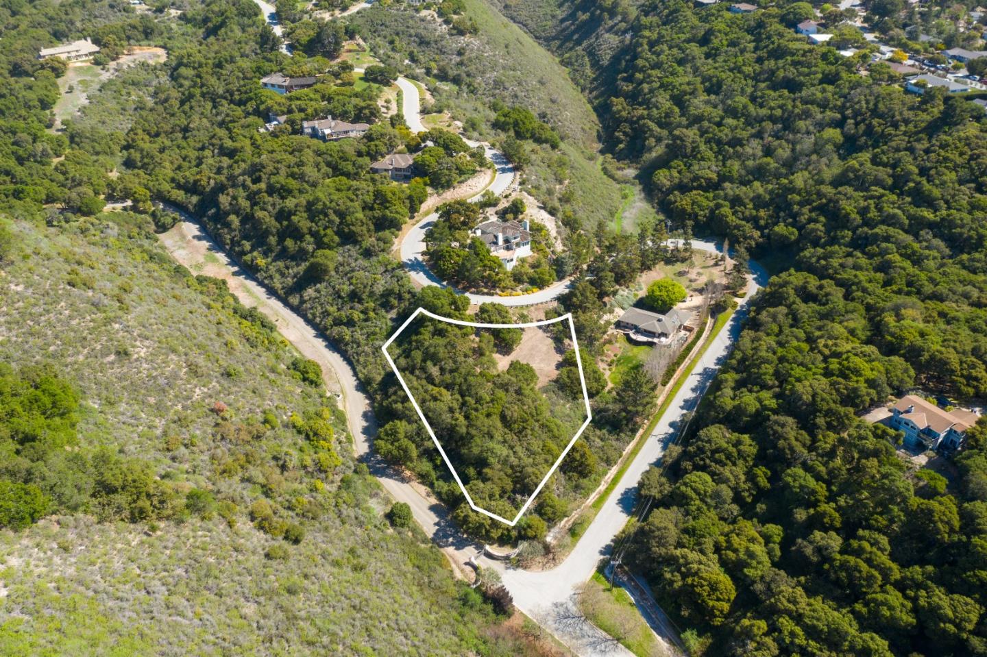 28007 Mercurio Road Carmel, CA 93923 - Photo 4 of 21 a view of a plant with a plant