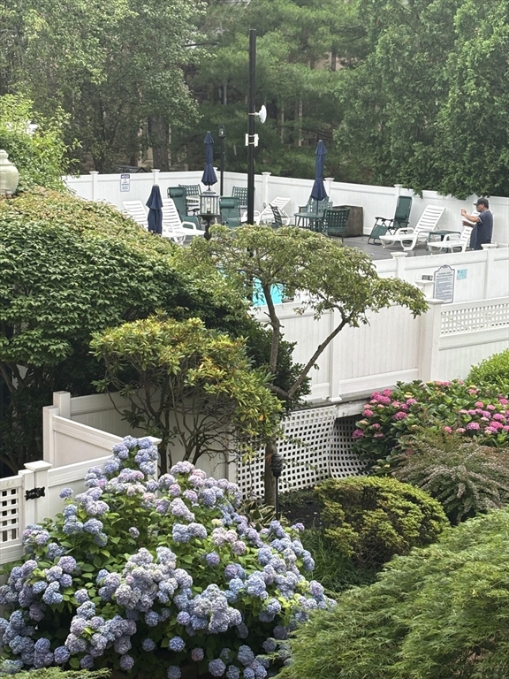 20 Webster Street, Unit 201 Brookline, MA 02446 - Photo 18 of 19