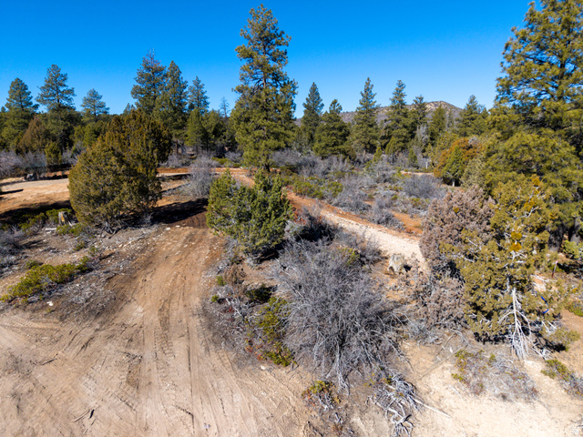 17 West Pine Street, Unit 17 Orderville, UT 84758 - Photo 9 of 15 View of nature