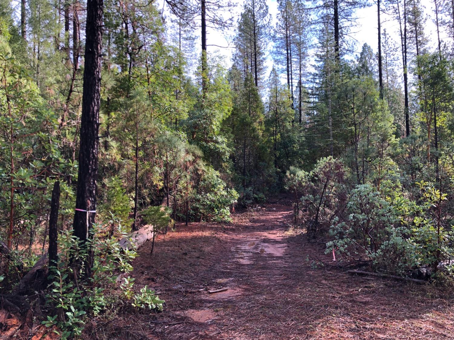 0 Whispering Pines Challenge, CA 95925 - Photo 18 of 22 a view of outdoor space and green space
