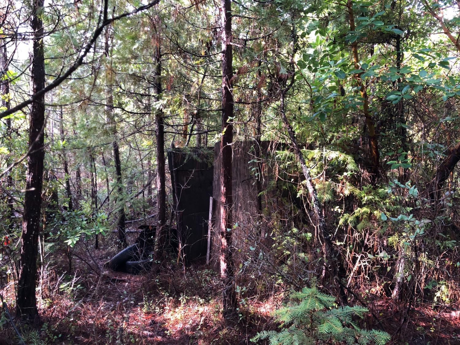 0 Whispering Pines Challenge, CA 95925 - Photo 20 of 22 a backyard of a house with lots of green space