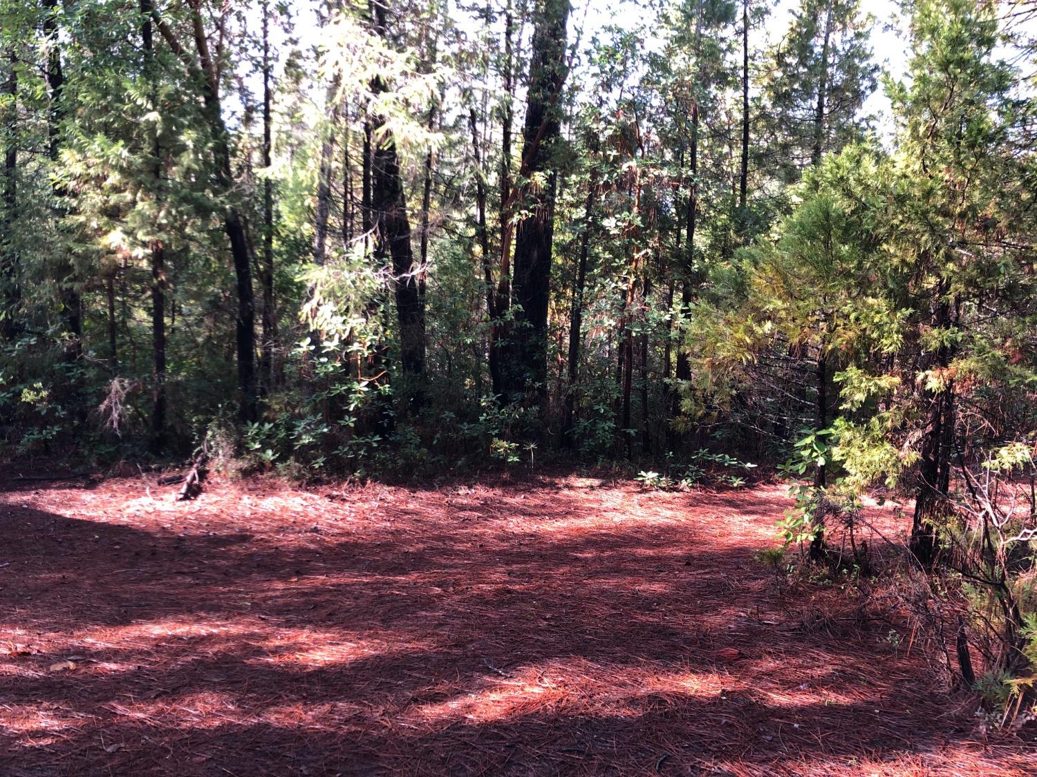 0 Whispering Pines Challenge, CA 95925 - Photo 5 of 22 a view of a yard with a tree