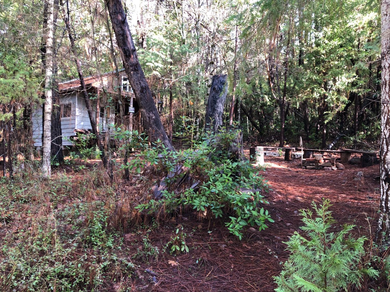 0 Whispering Pines Challenge, CA 95925 - Photo 9 of 22 a backyard of a house with lots of green space
