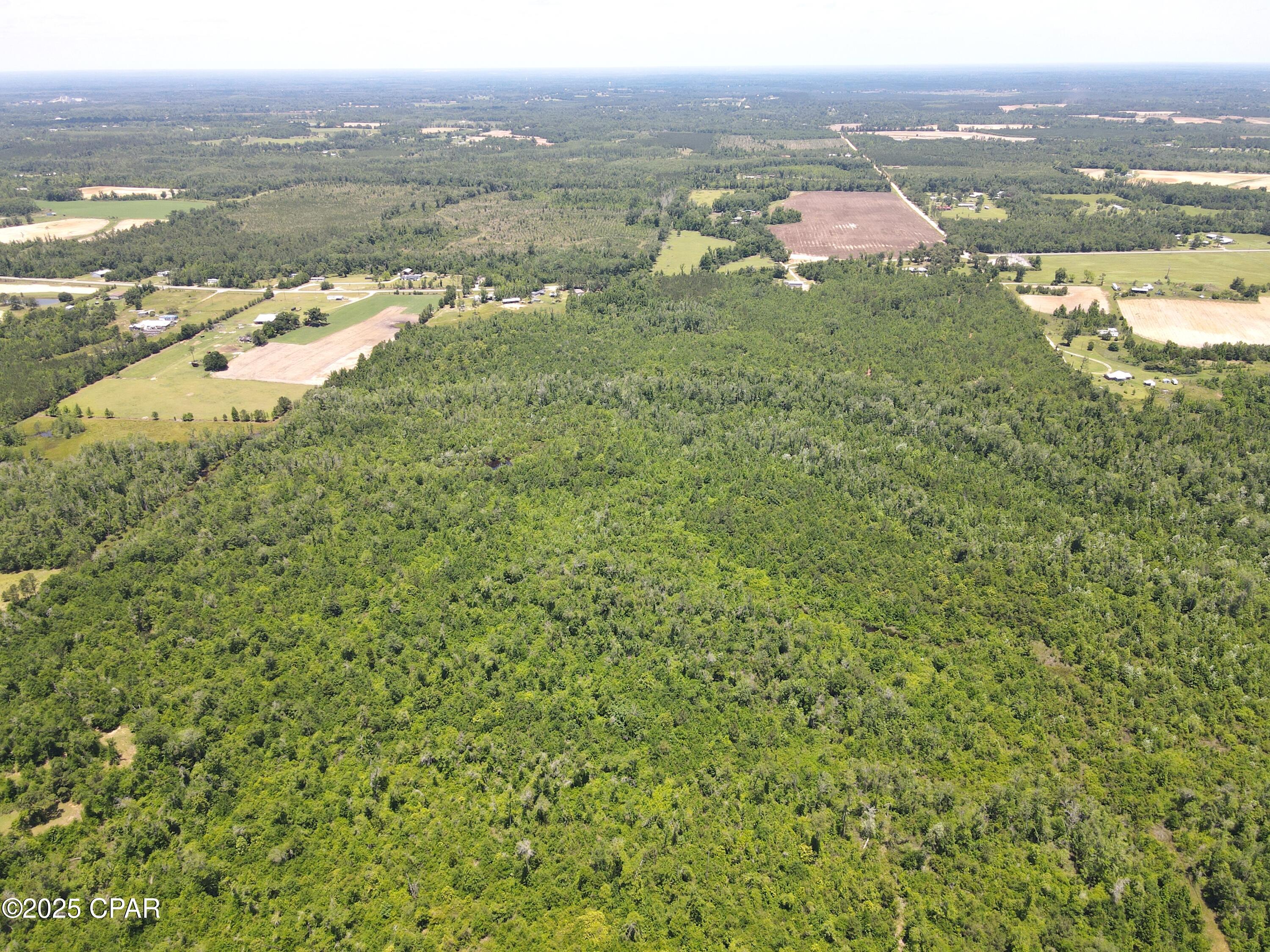 0 Mutual Road Cottondale, FL 32431 - Photo 4 of 38