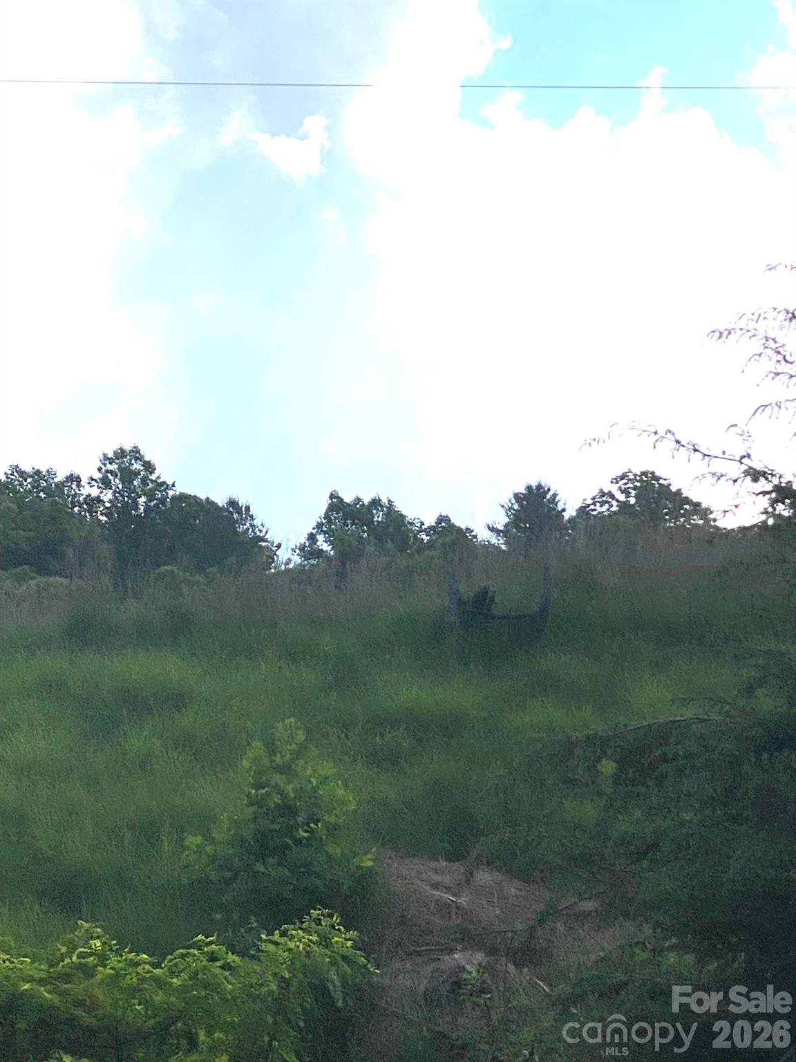 0 East Fork Road Marshall, NC 28753 - Photo 17 of 22