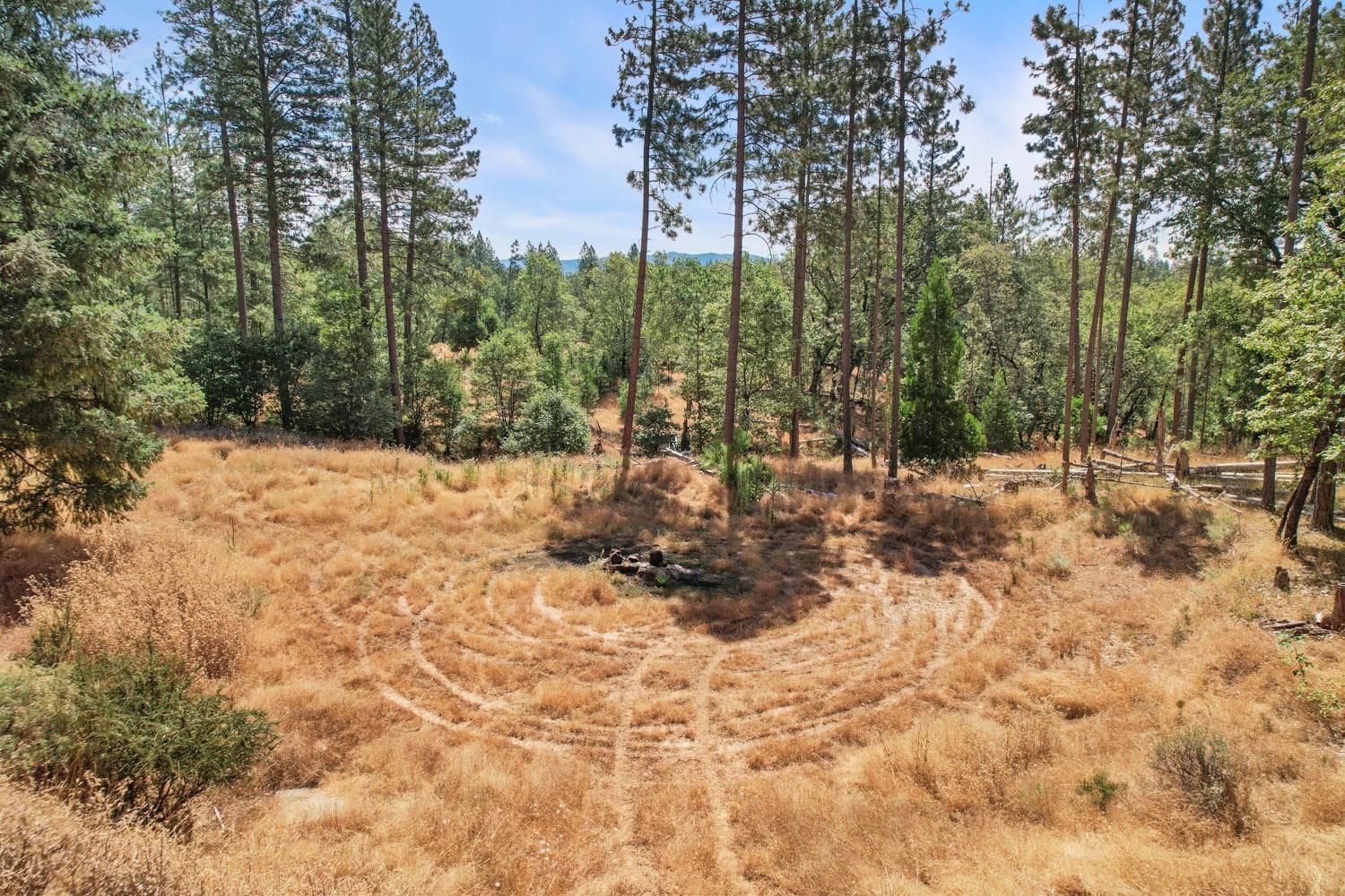 402 Rabbit's Foot Road West Point, CA 95255 - Photo 37 of 65 a view of snow on a road