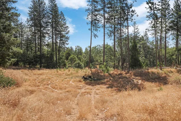 a view of a city with lush green forest